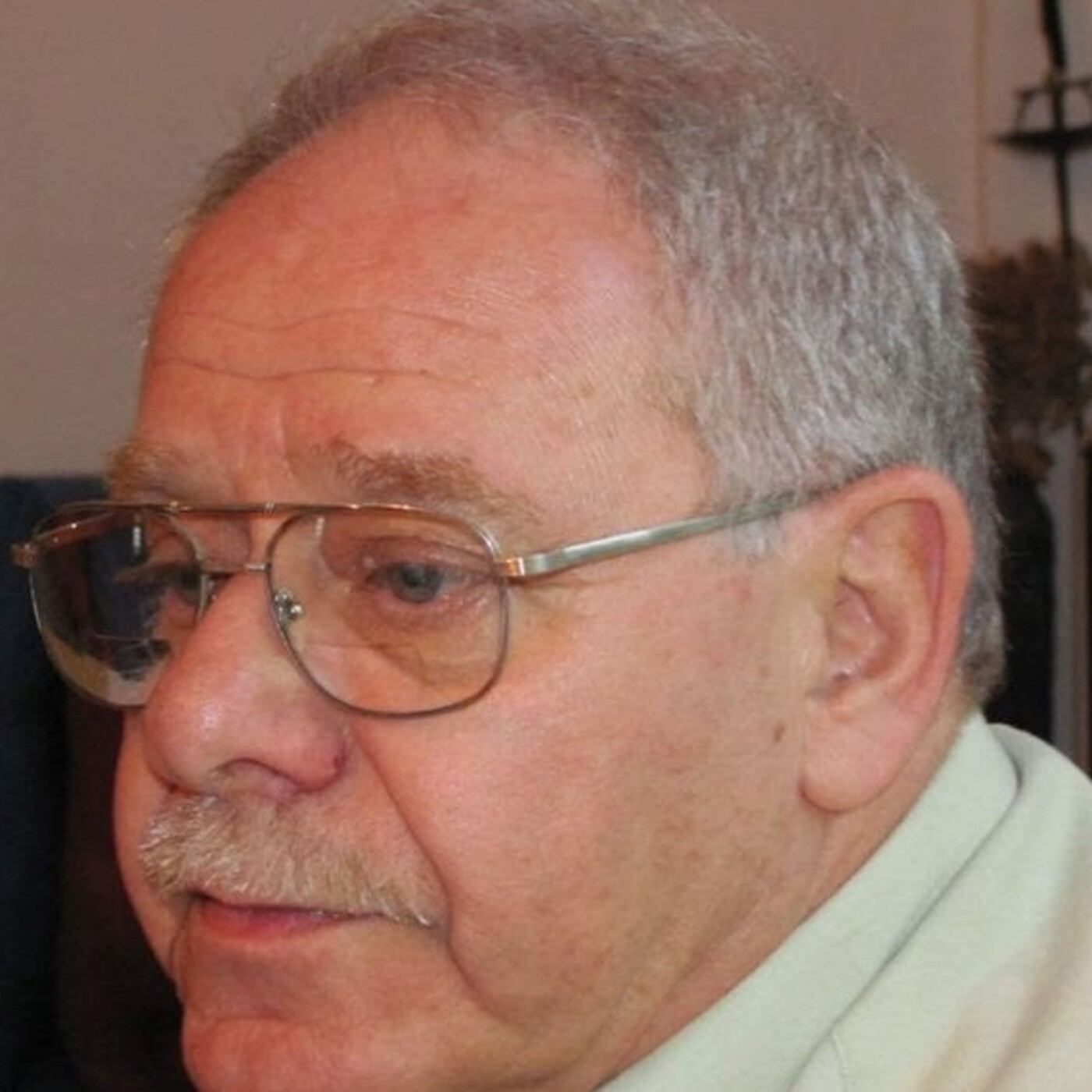 Entrevistas a Javier Lindenboim Año 2020