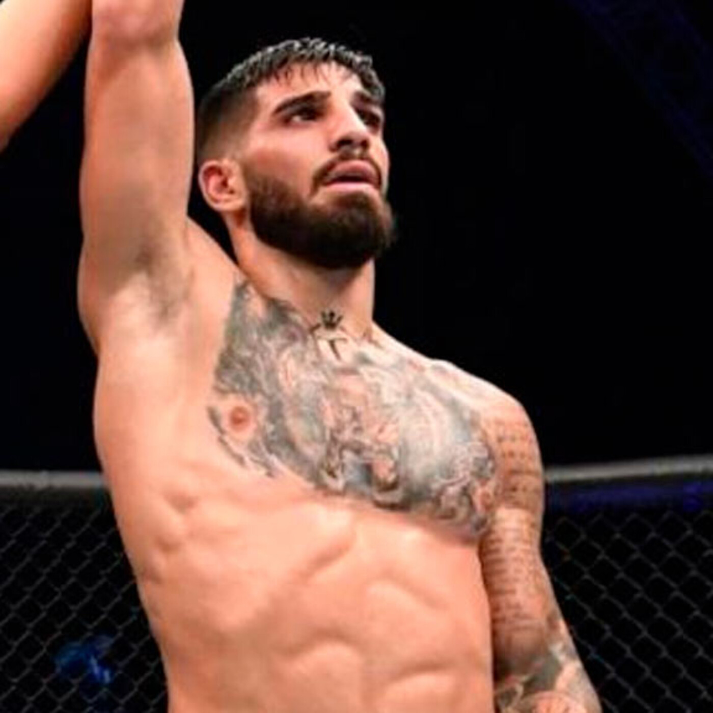Dragonz | Artes Marciales y Deportes de Contacto