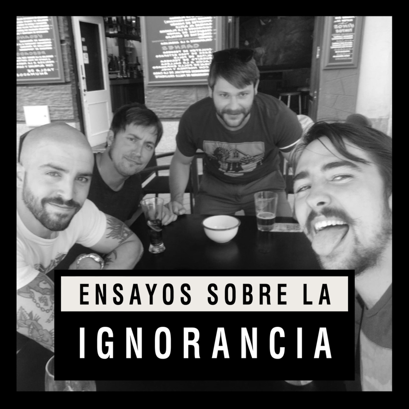 Ensayos sobre la ignorancia