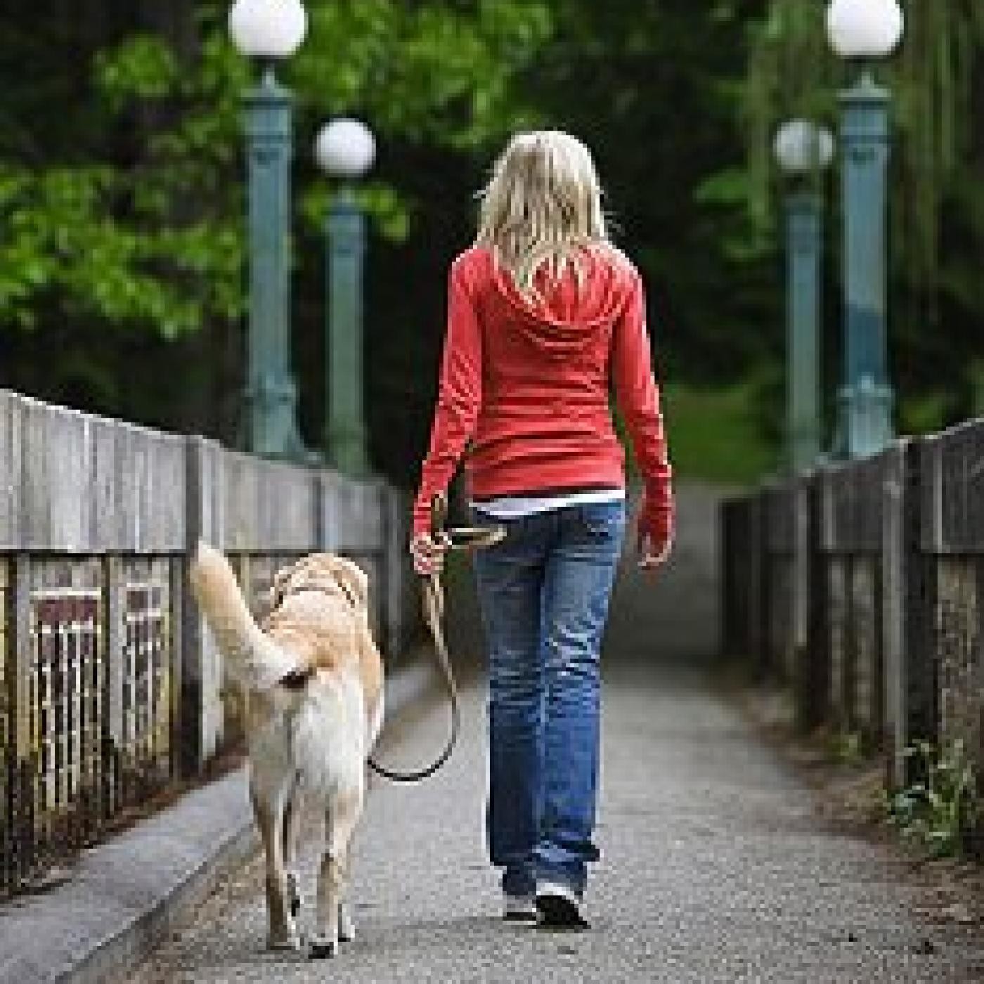 Podcast de Mi Perro Educado