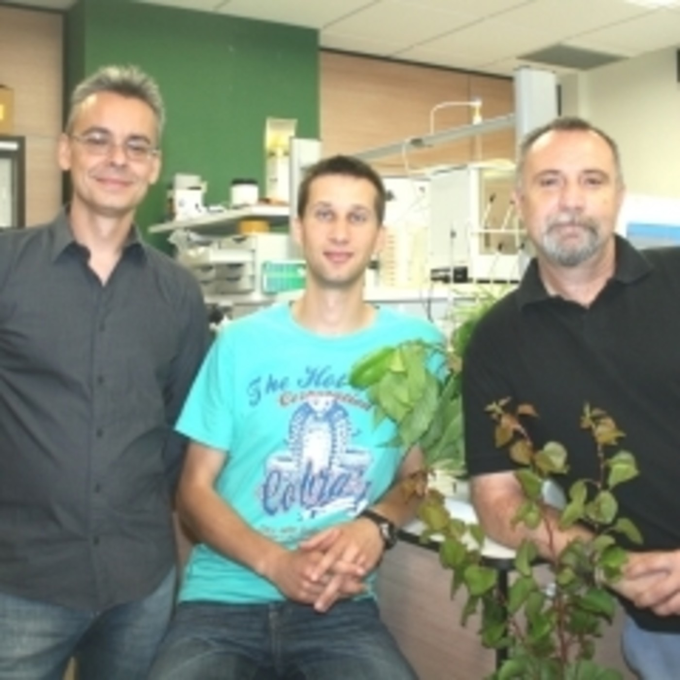 CITA de Aragón: Apariciones en radio