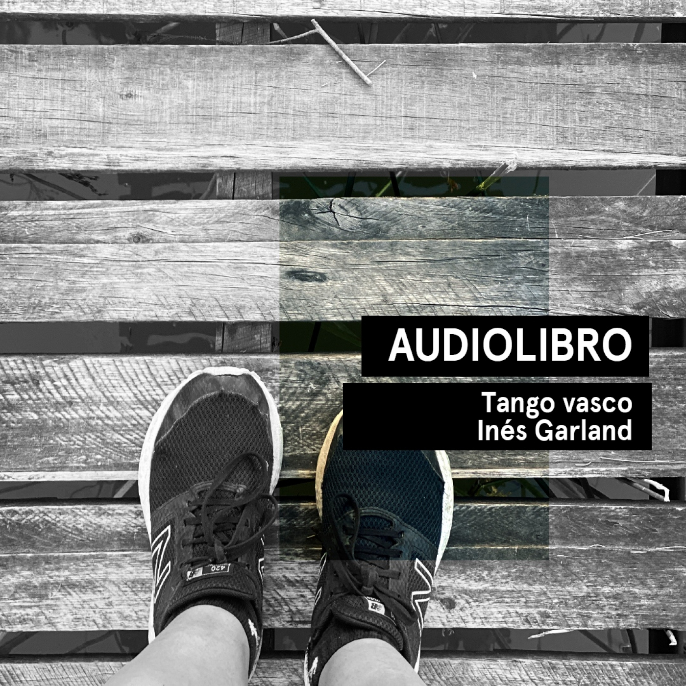 Audiolibros Por qué leer