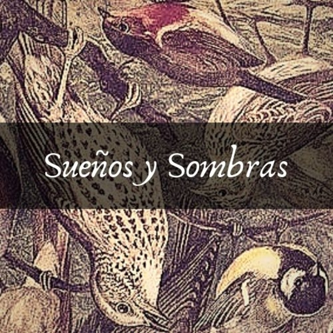 Sueños y Sombras
