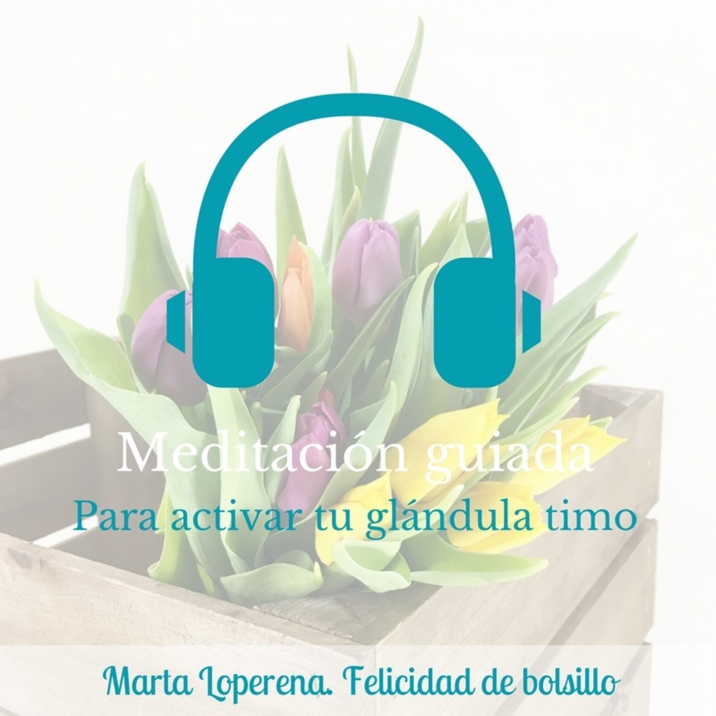 Meditaciones guiadas para vivir con más alegría