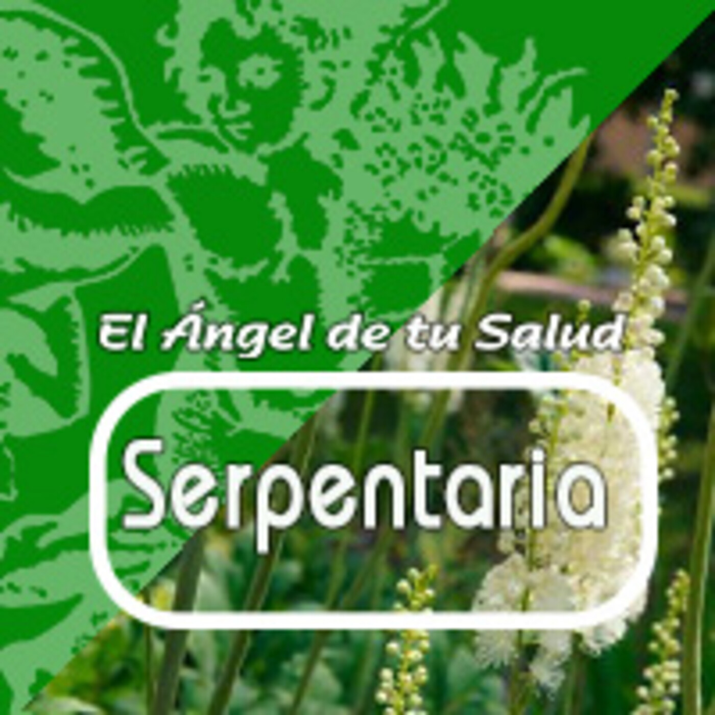 El Angel de tu Salud - SERPENTARIA *** episode artwork