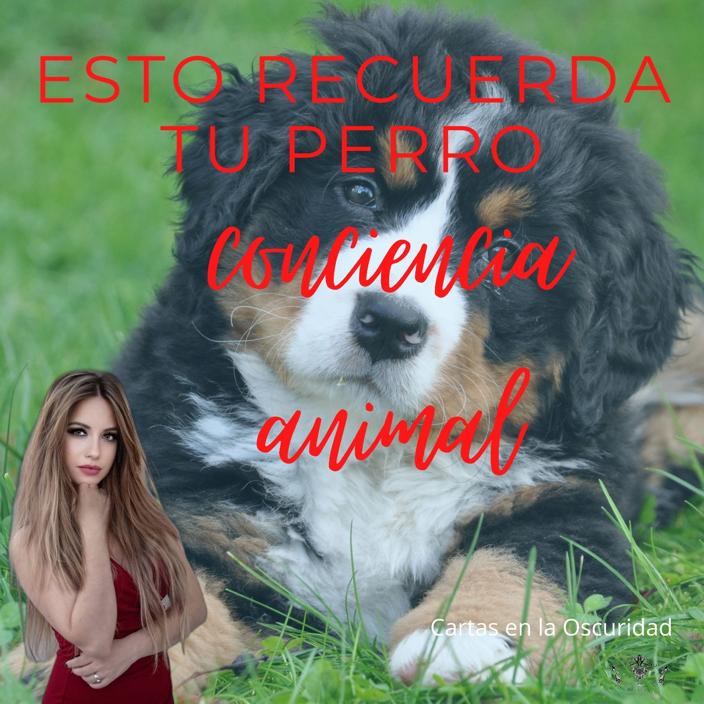ESTO RECUERDA TU PERRO: Conciencia animal