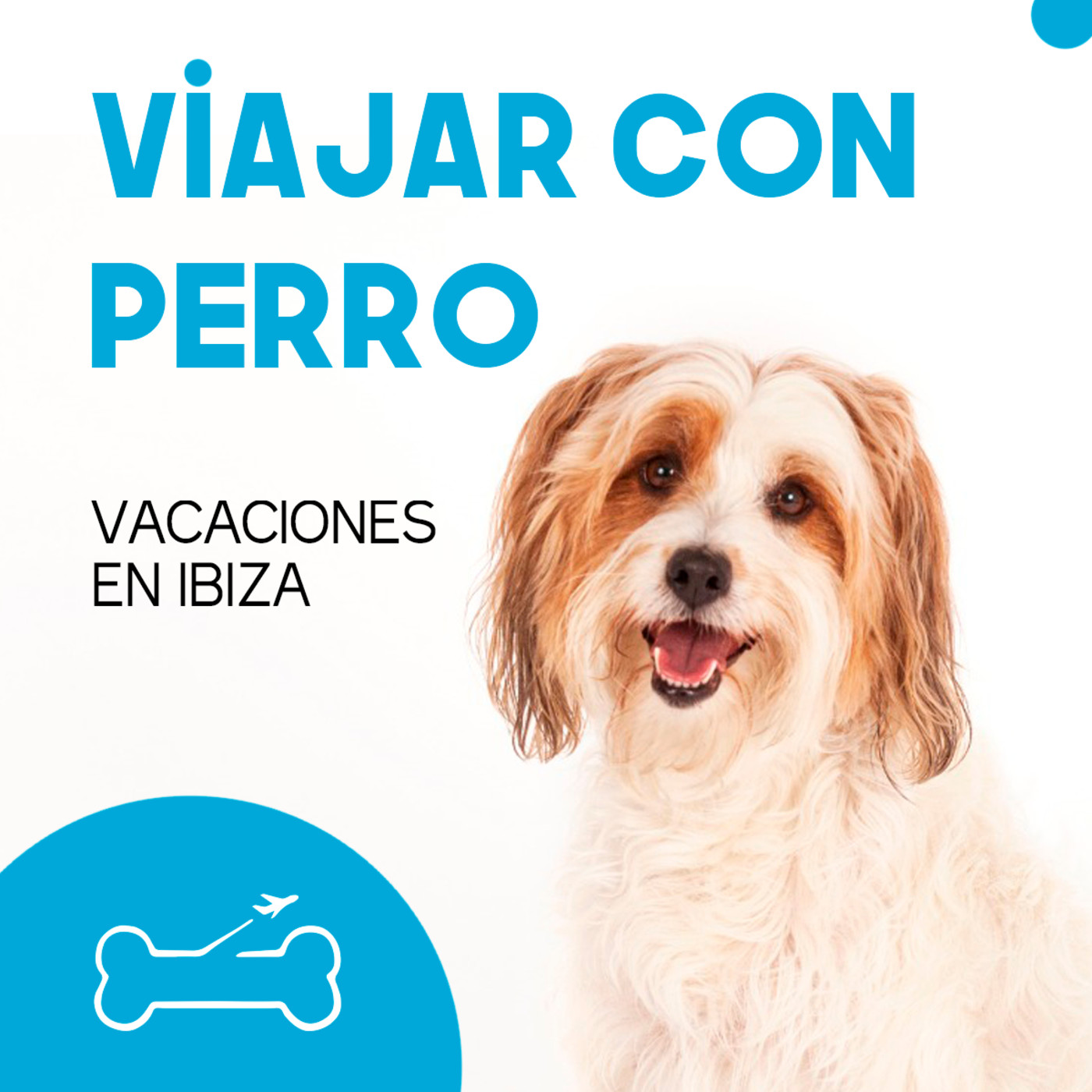 Viajar con perro. El podcast de Turismo Canino