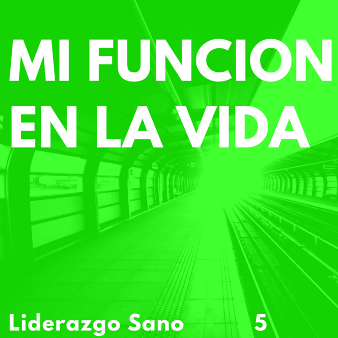 Liderazgo Sano