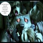 Osera Radio 53 Hotel Transylvania y Juegos Android