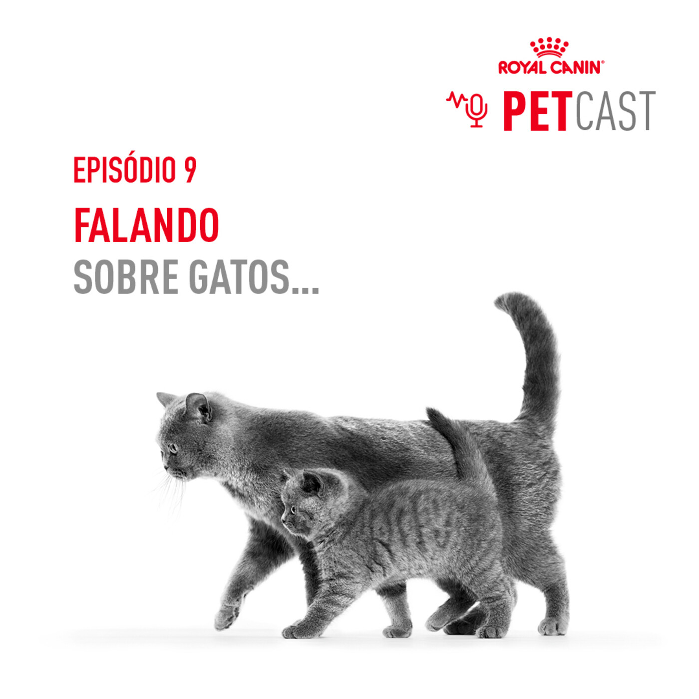 ROYAL CANIN PETCASTS PORTUGAL
