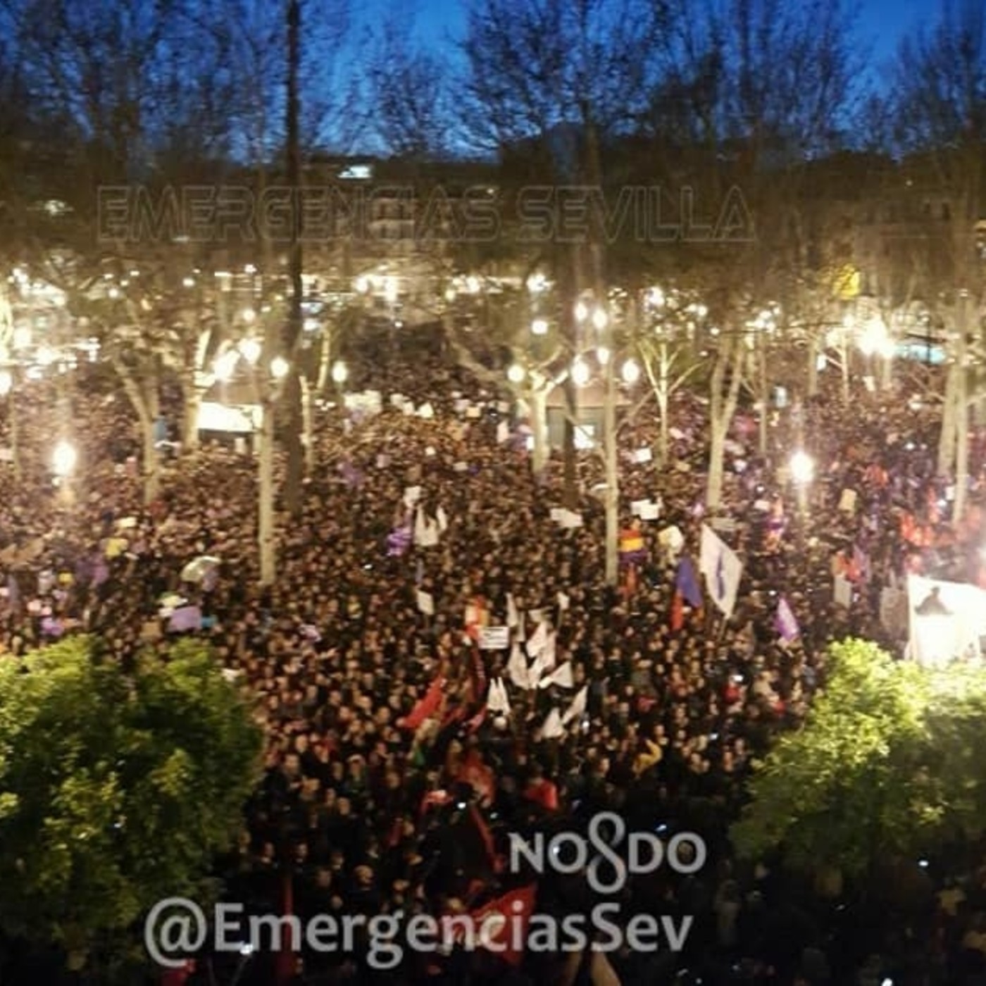 EL LIMON REVOLTOSO con AFRICA