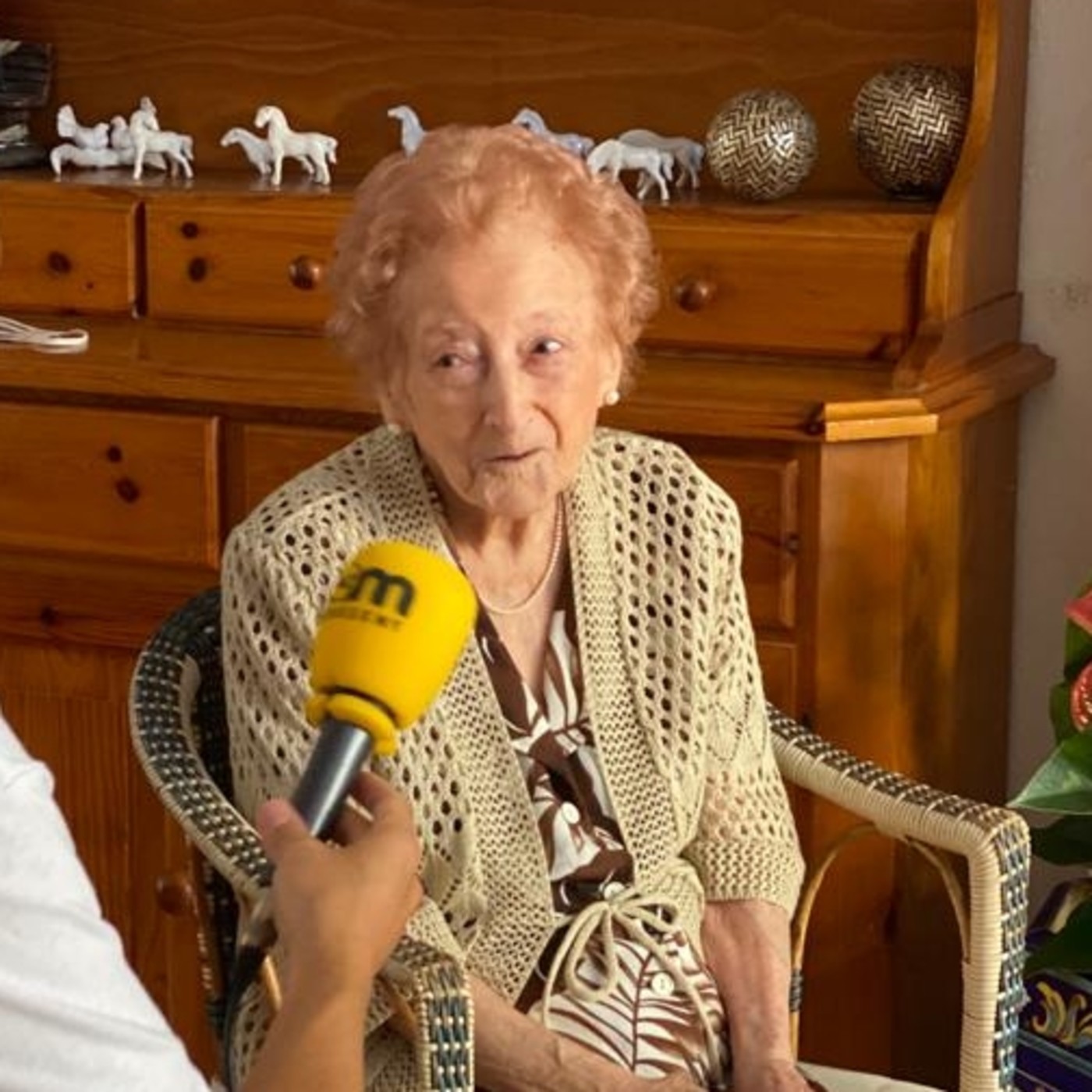 Entrevistes