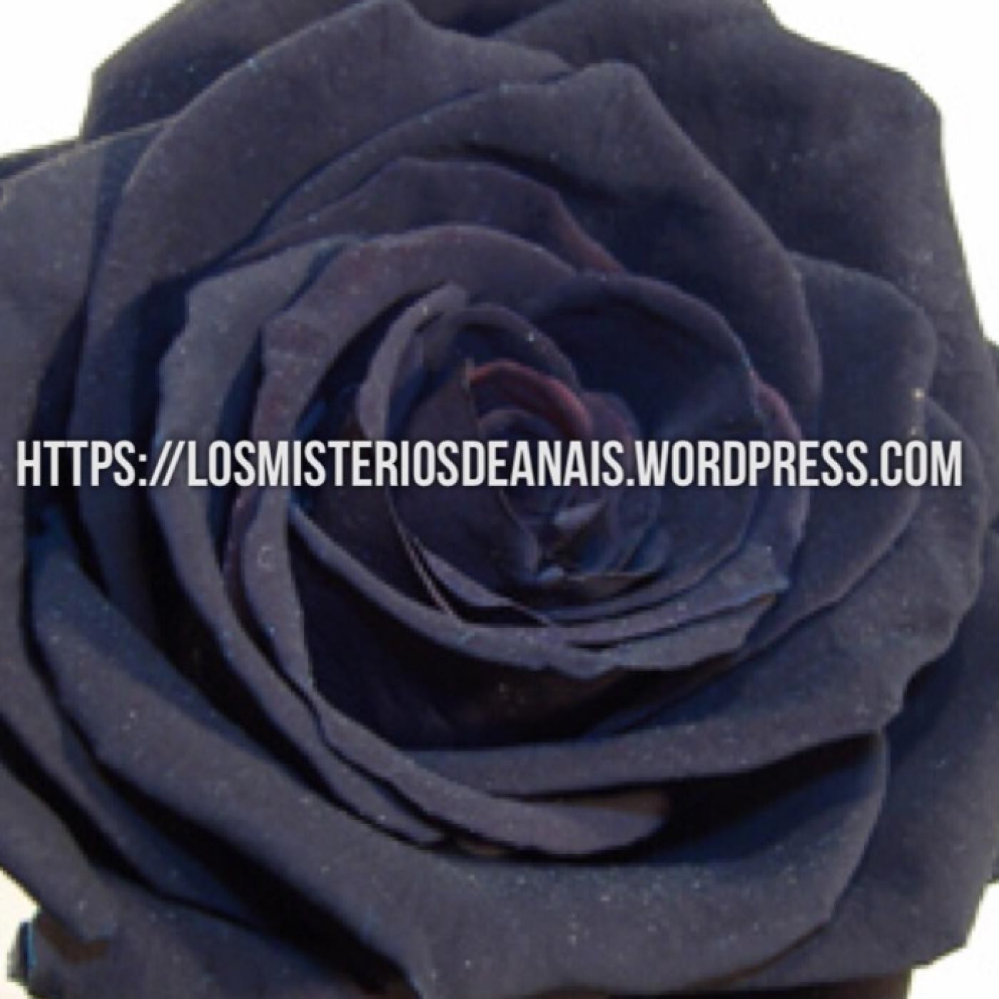 LOS MISTERIOS DE ANAIS