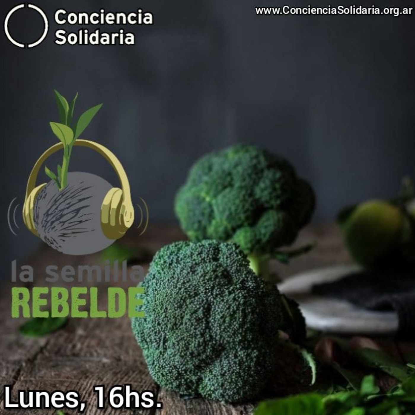 ¡#Enganchate con #LaSemillaRebelde! 17.6.19