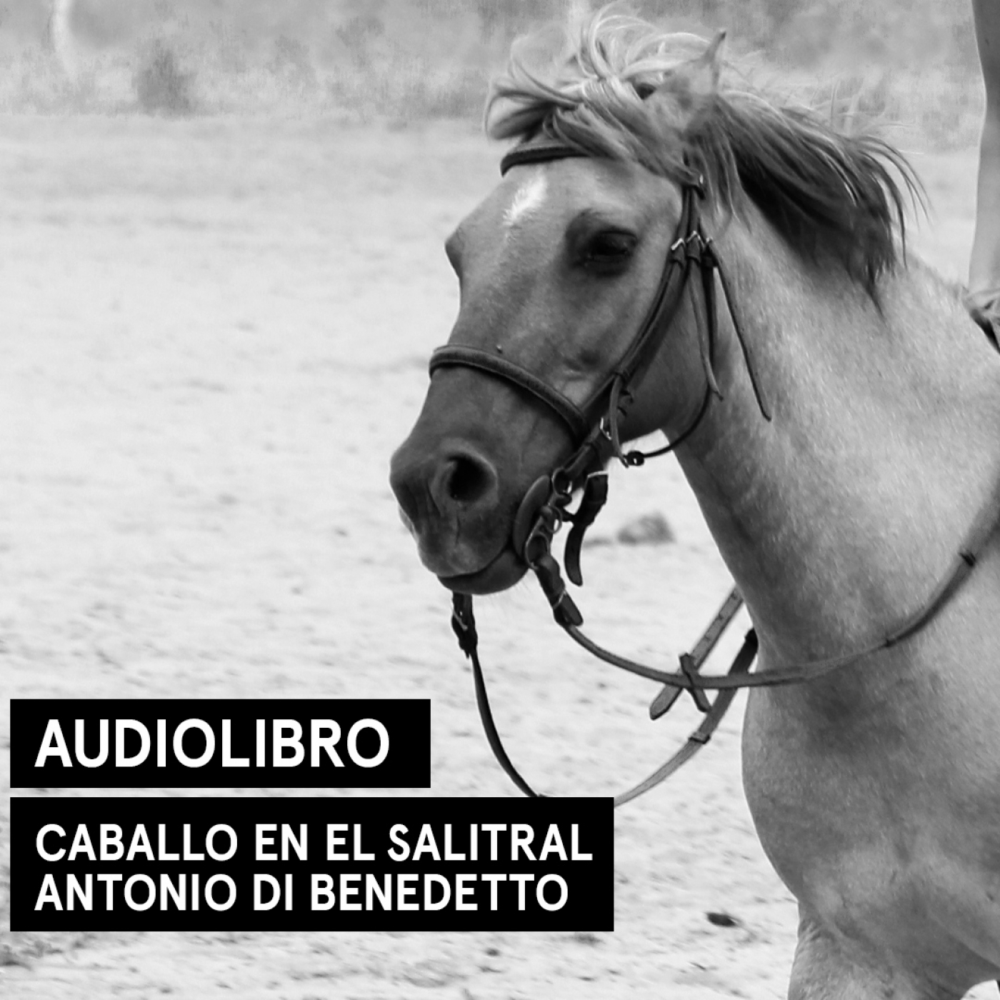 Caballo en el salitral - Antonio Di Benedetto