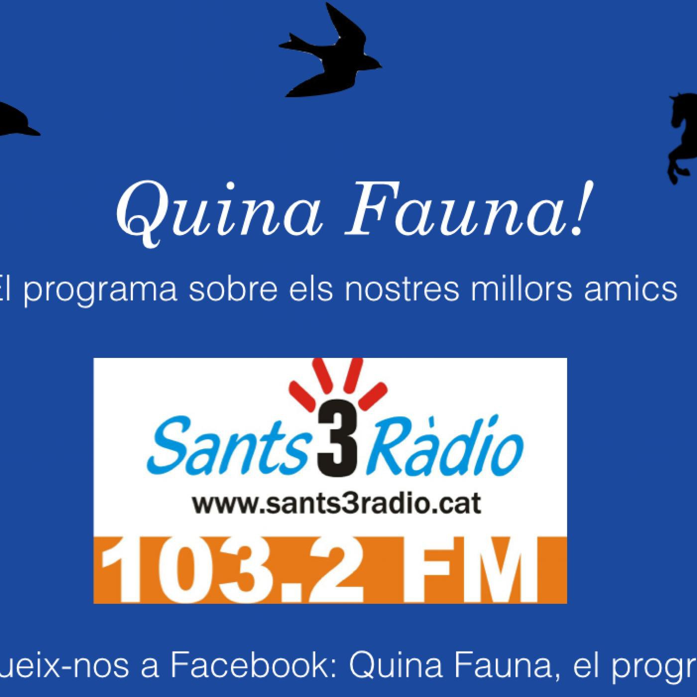Quina Fauna