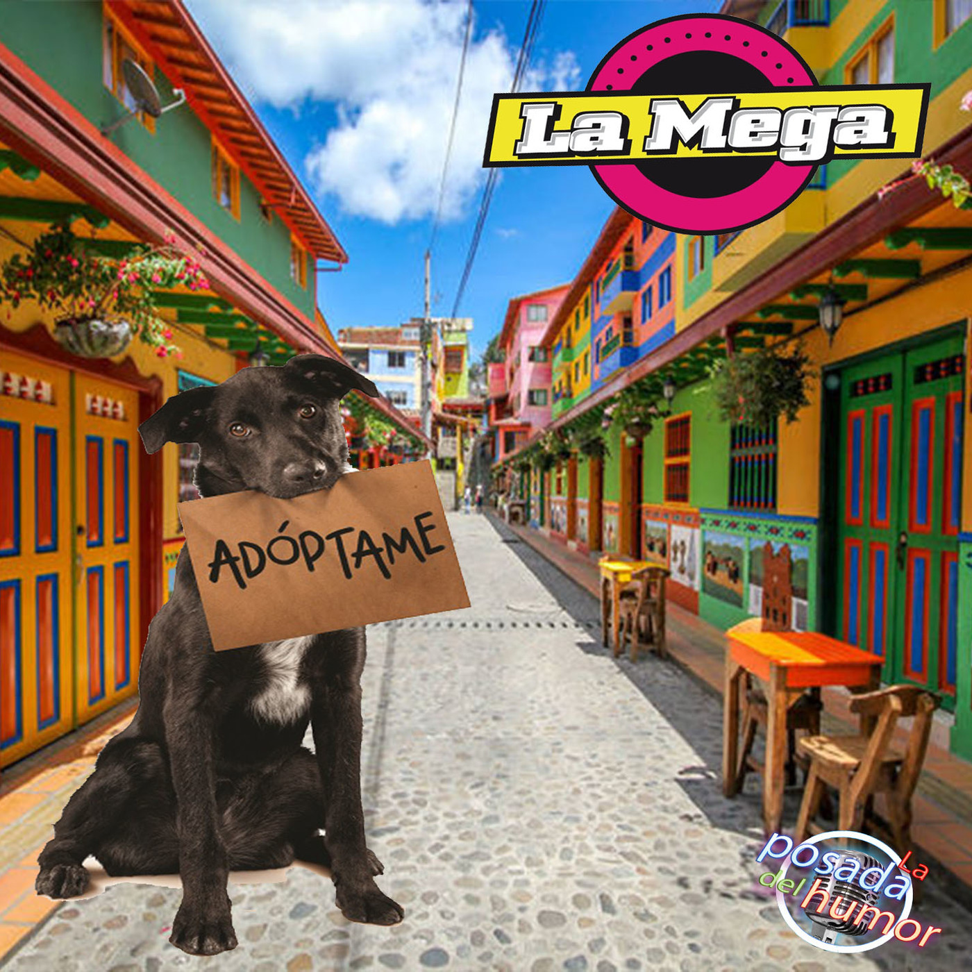 el cartel de la mega (adoptame) - Una oyente muy exigente