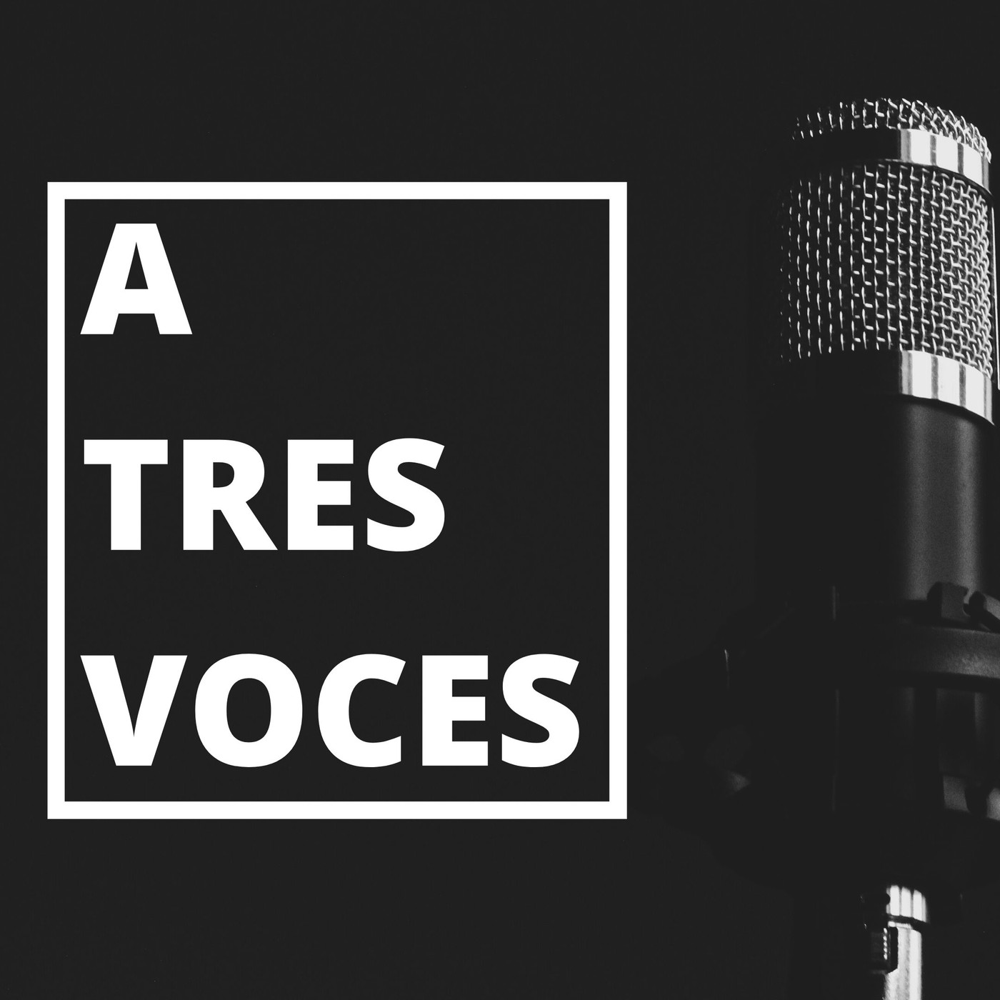 006. Estereotipos y racismo