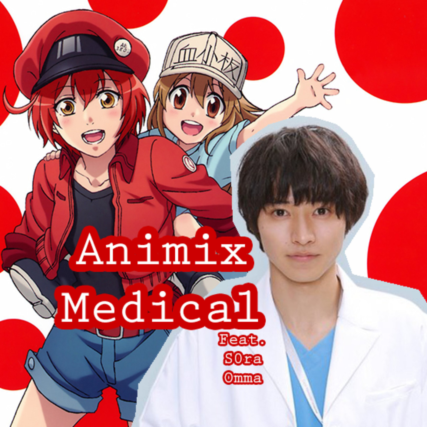 Animix Music Show