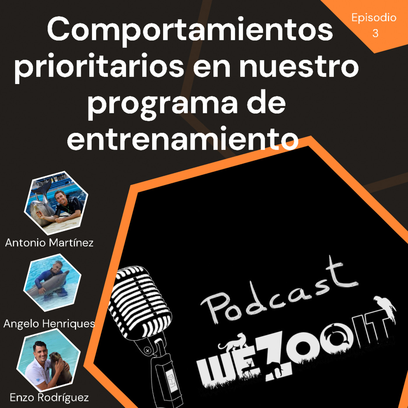 WeZooit Podcast