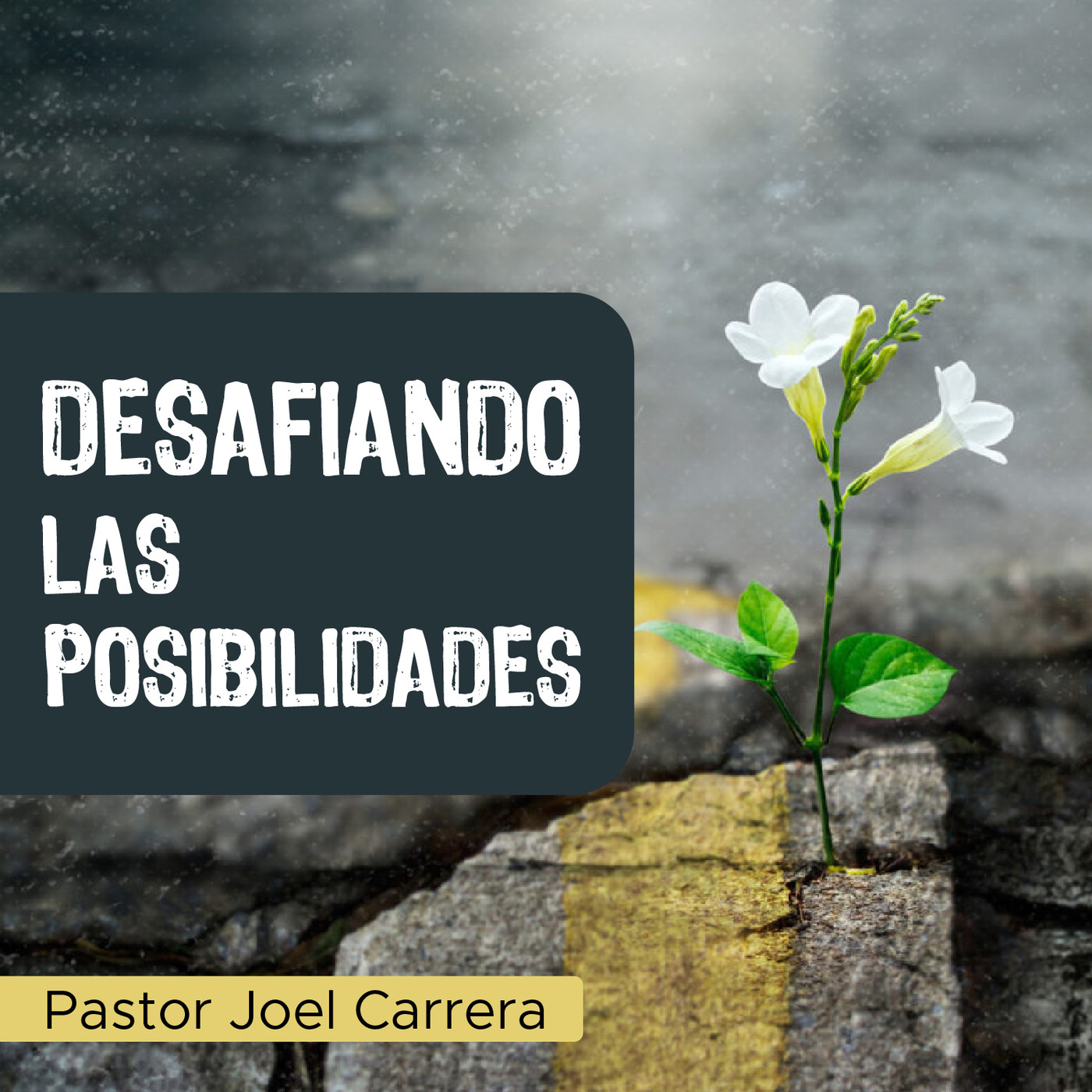 Pastor Joel Carrera - Desafiando las Posibilidades