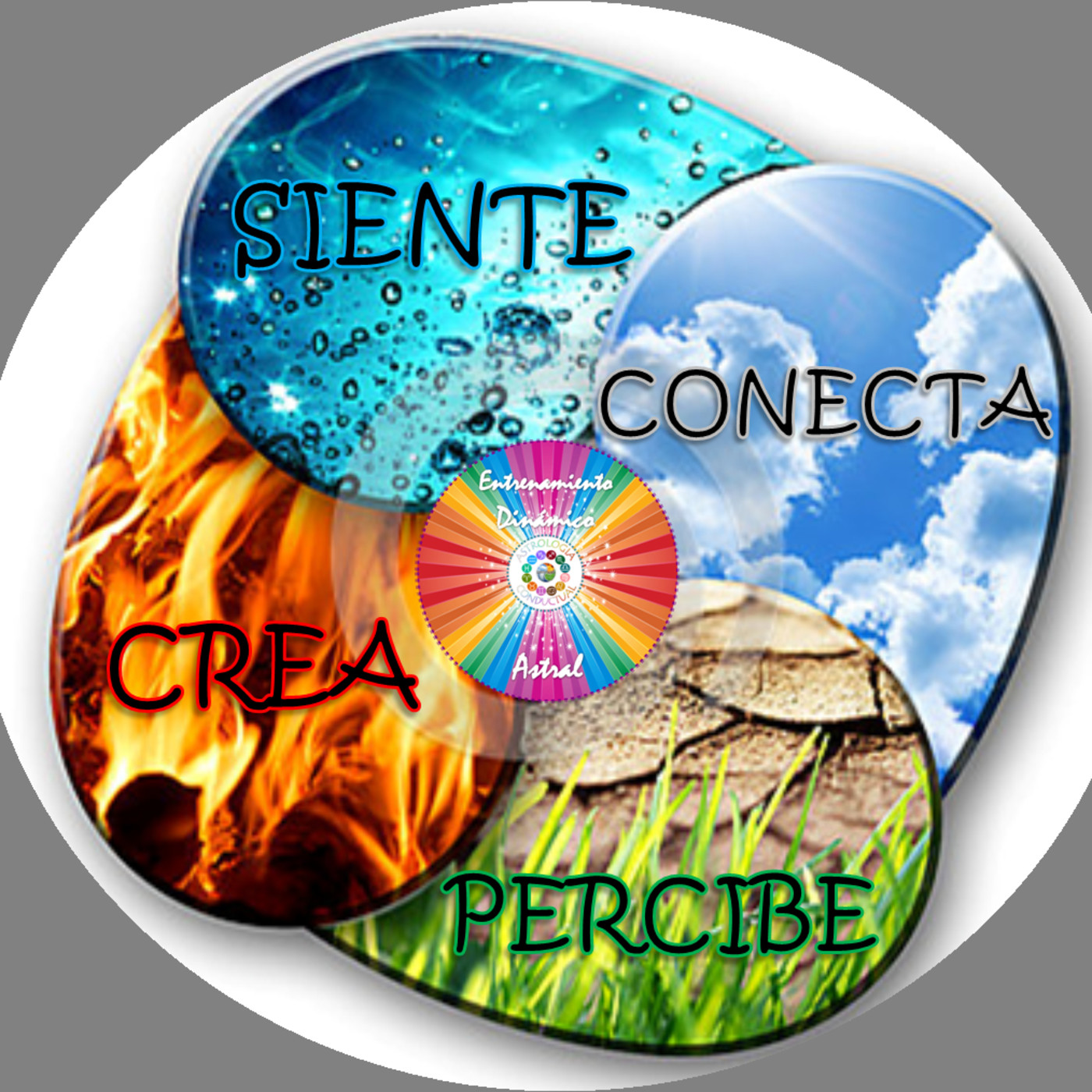 4 ELEMENTOS ASTROLOGÍA CONDUCTUAL