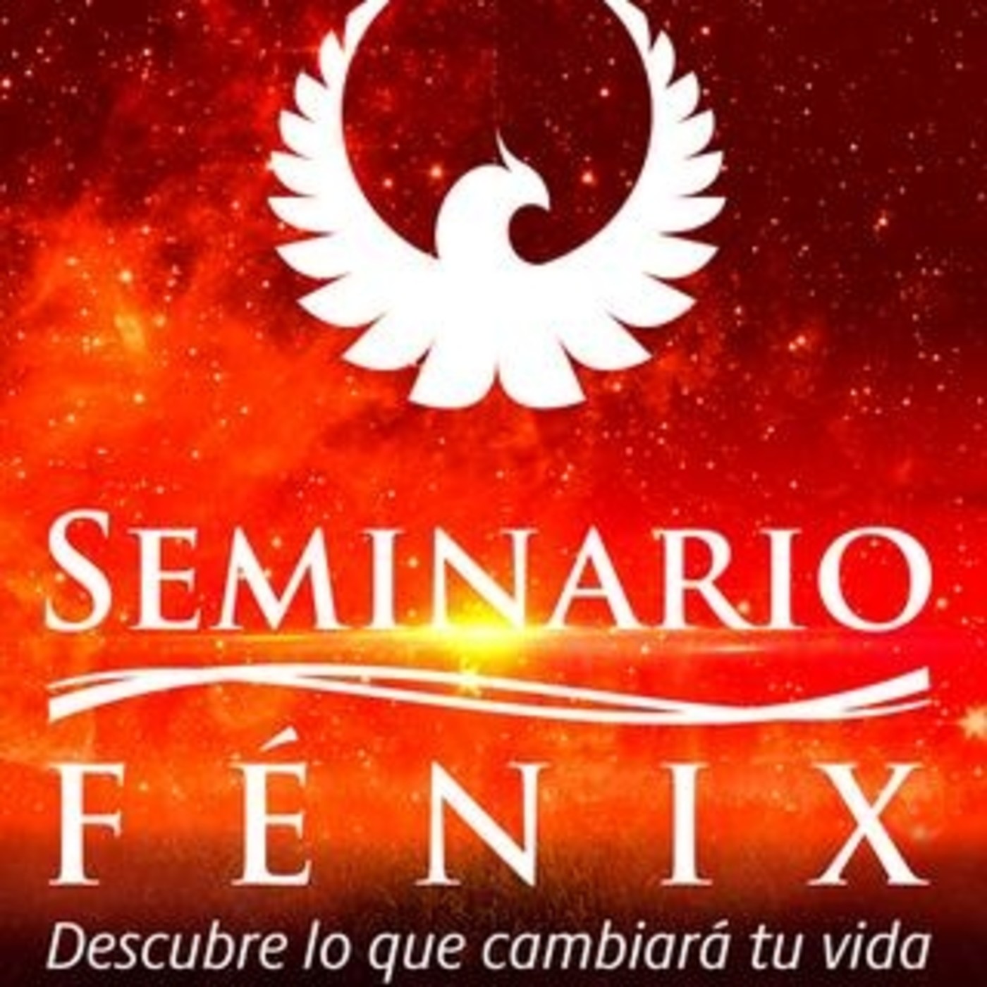Seminario Fenix