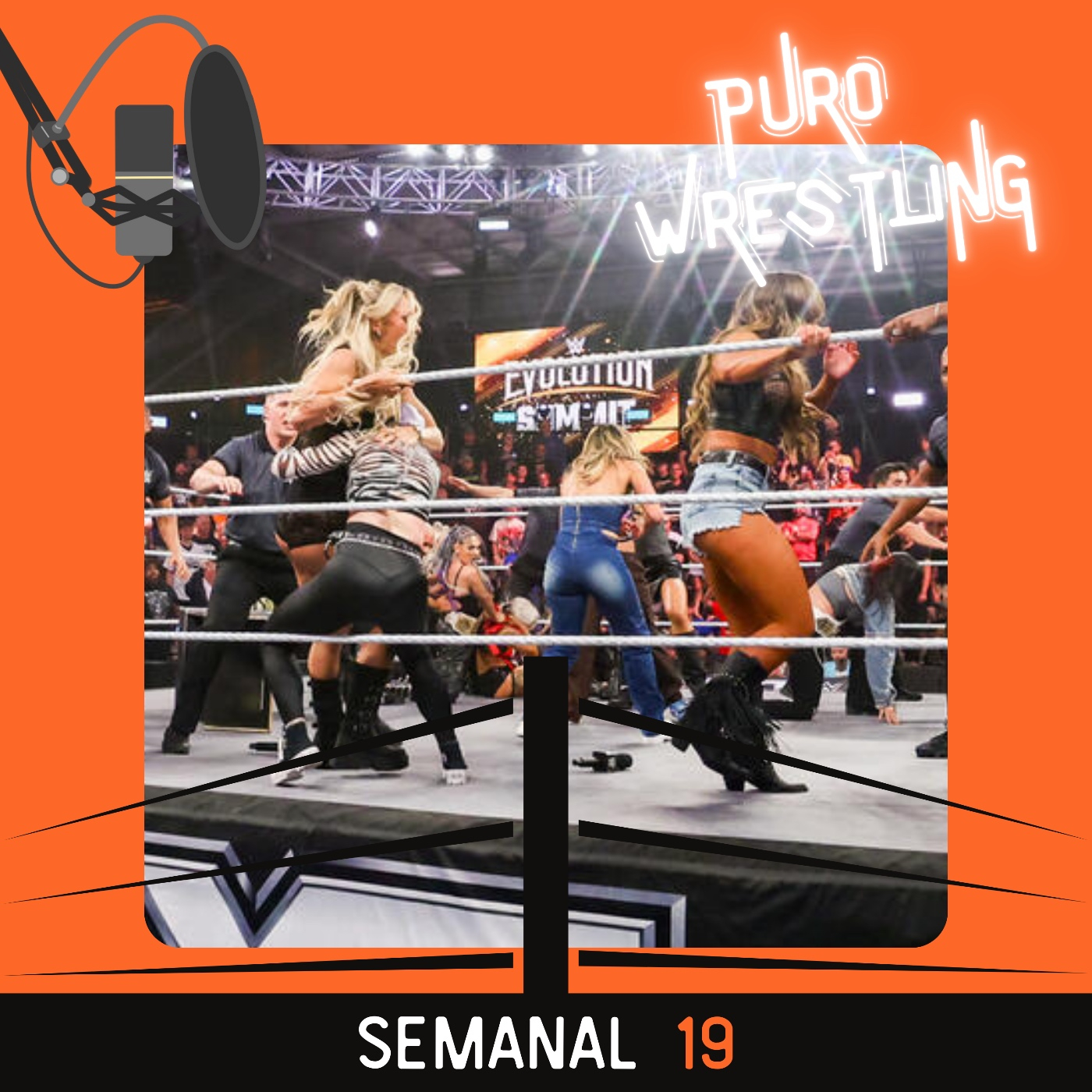 Puro Wrestling
