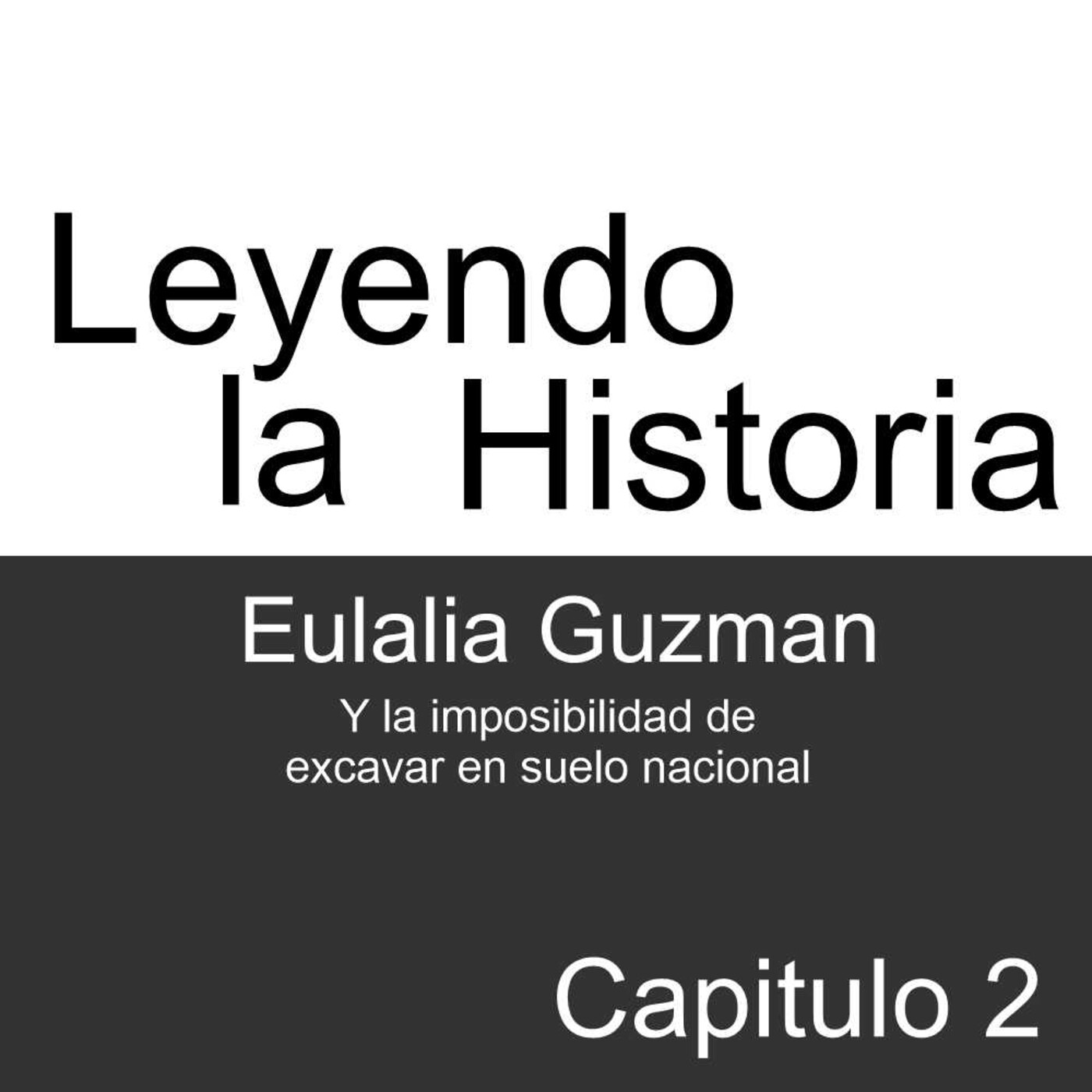 Leyendo la Historia