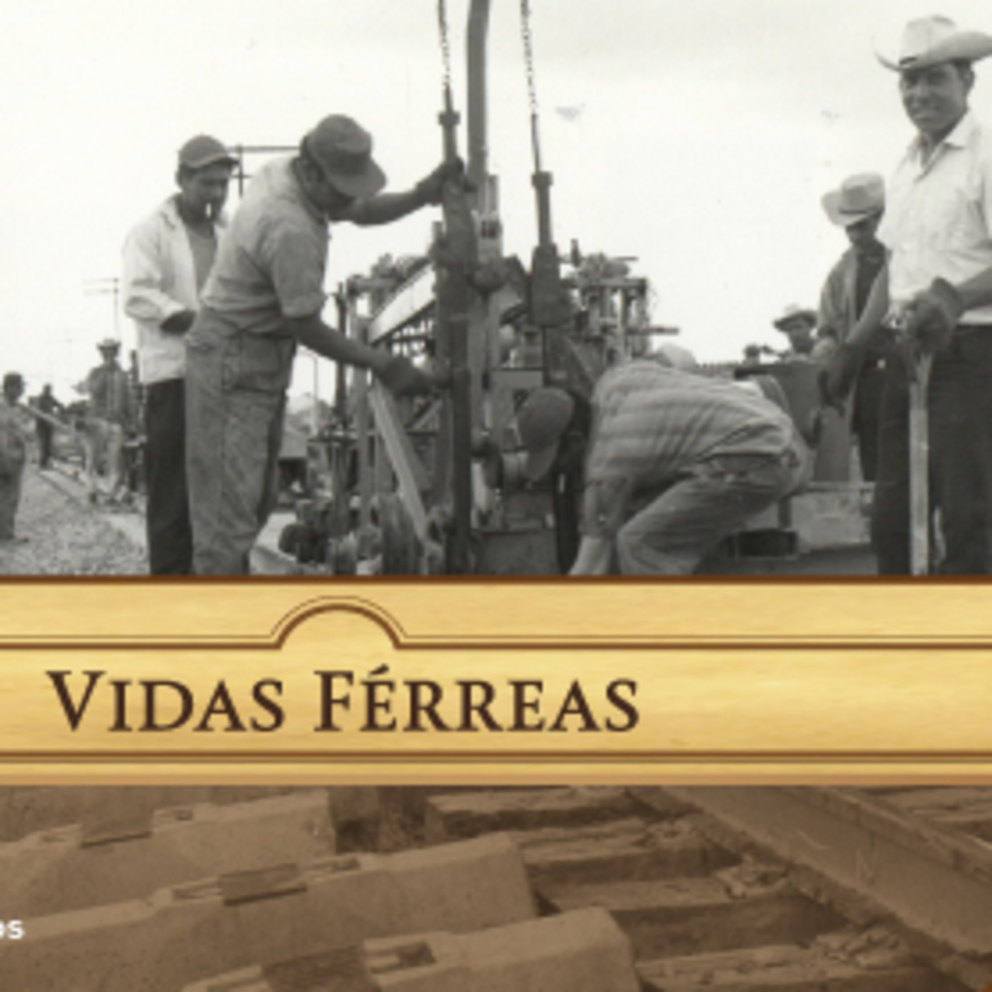 Vidas férreas