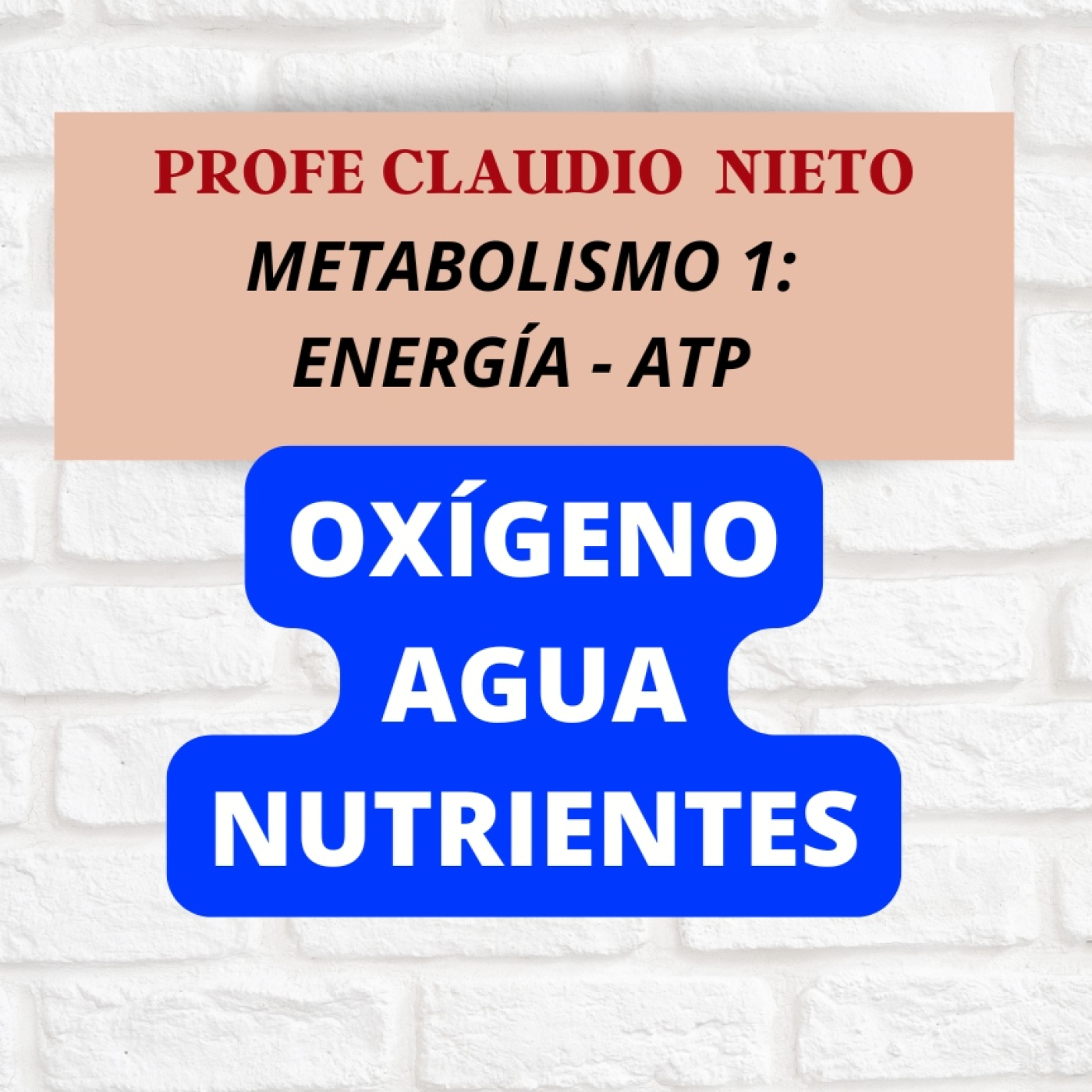 219. METABOLISMO 1: ATP- ENERGÍA (RESPIRA, BEBE y COME)