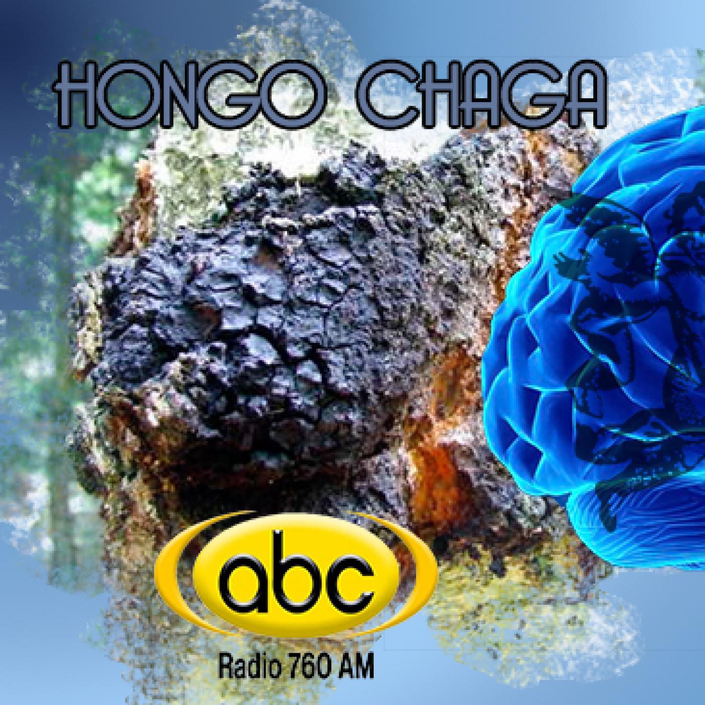 EL ÁNGEL DE TU SALUD- Rodrigo Mondragón - HONGO CHAGA episode artwork
