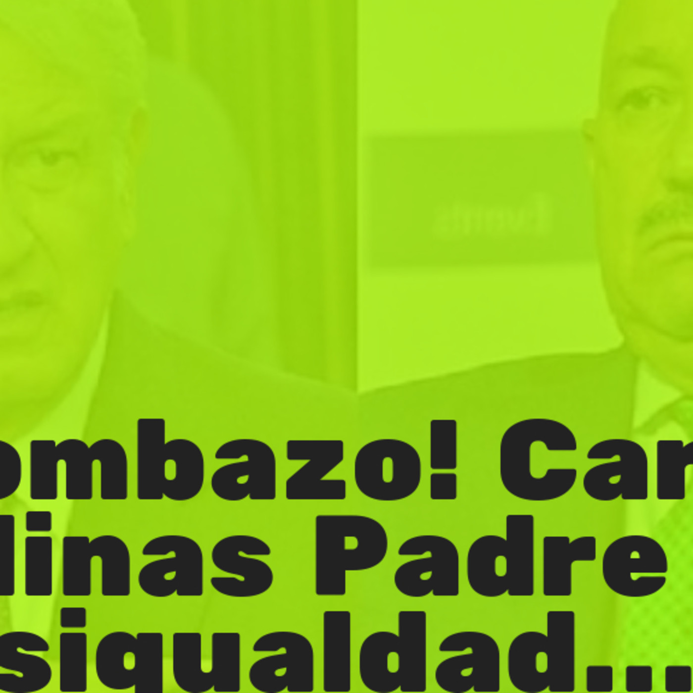Me Canso Ganso MX