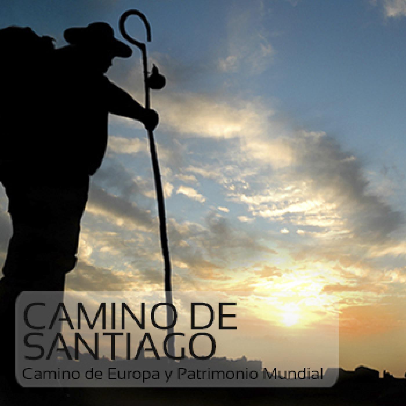 Diego Gerlmirez y la Era Compostelana (195-1140)