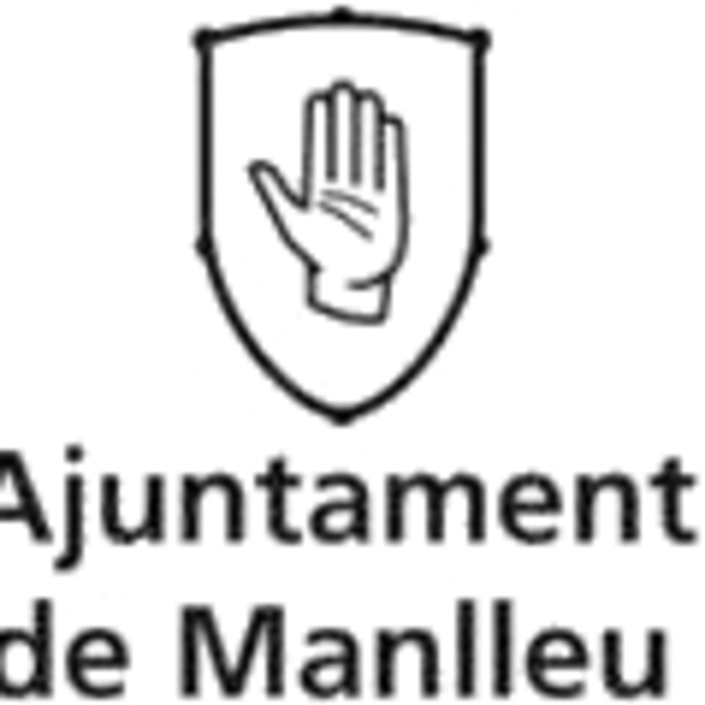 Ple Març 2020 - Sessió ordinària