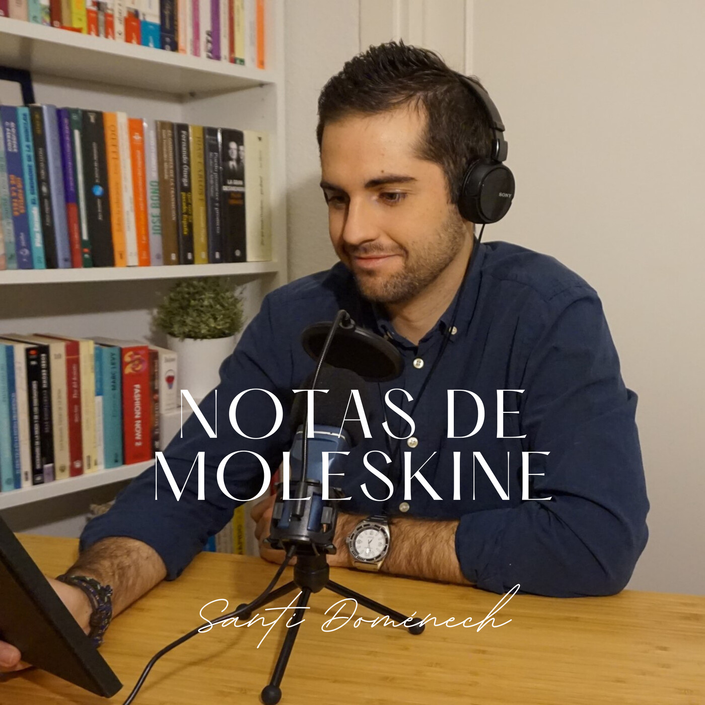 Notas de Moleskine