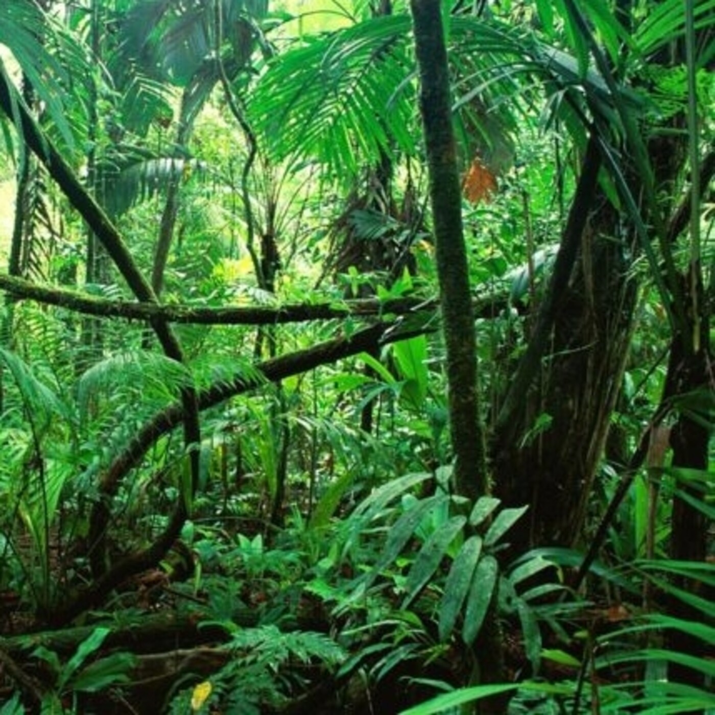 discoverLugares