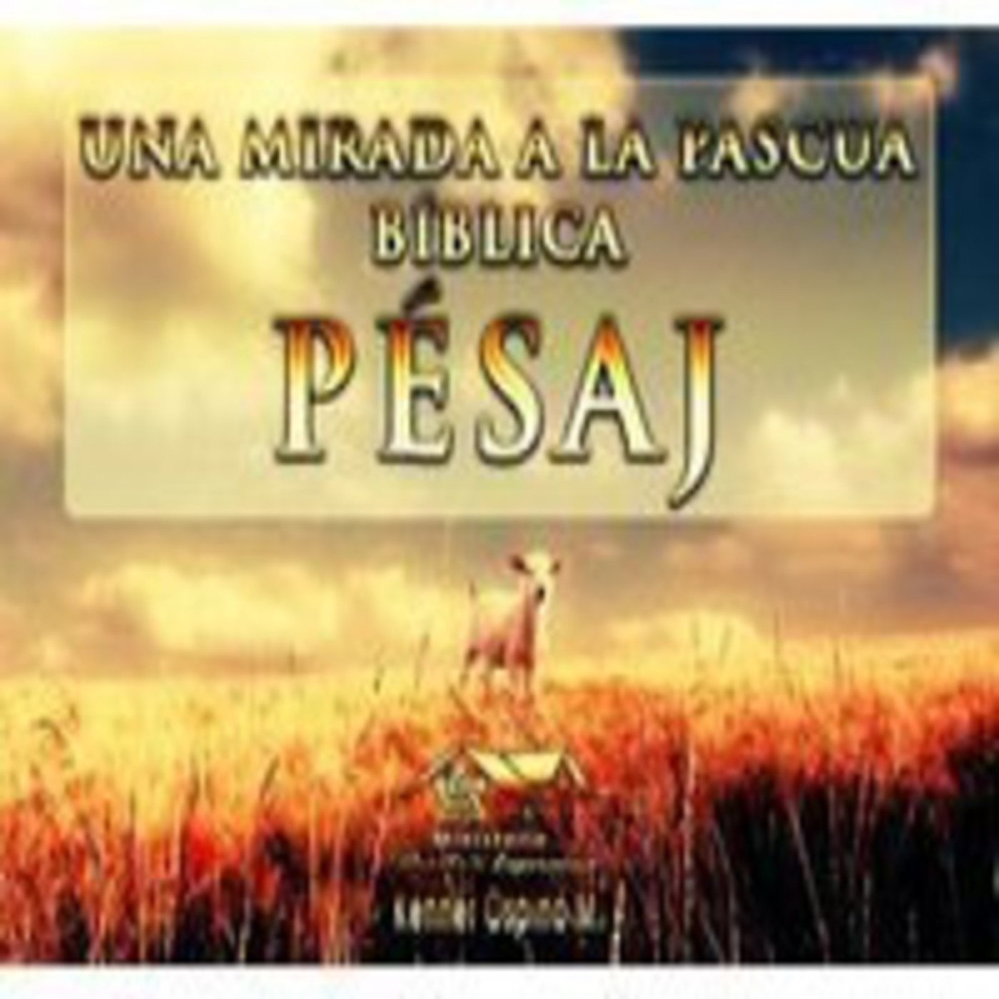 Santas Convocaciones