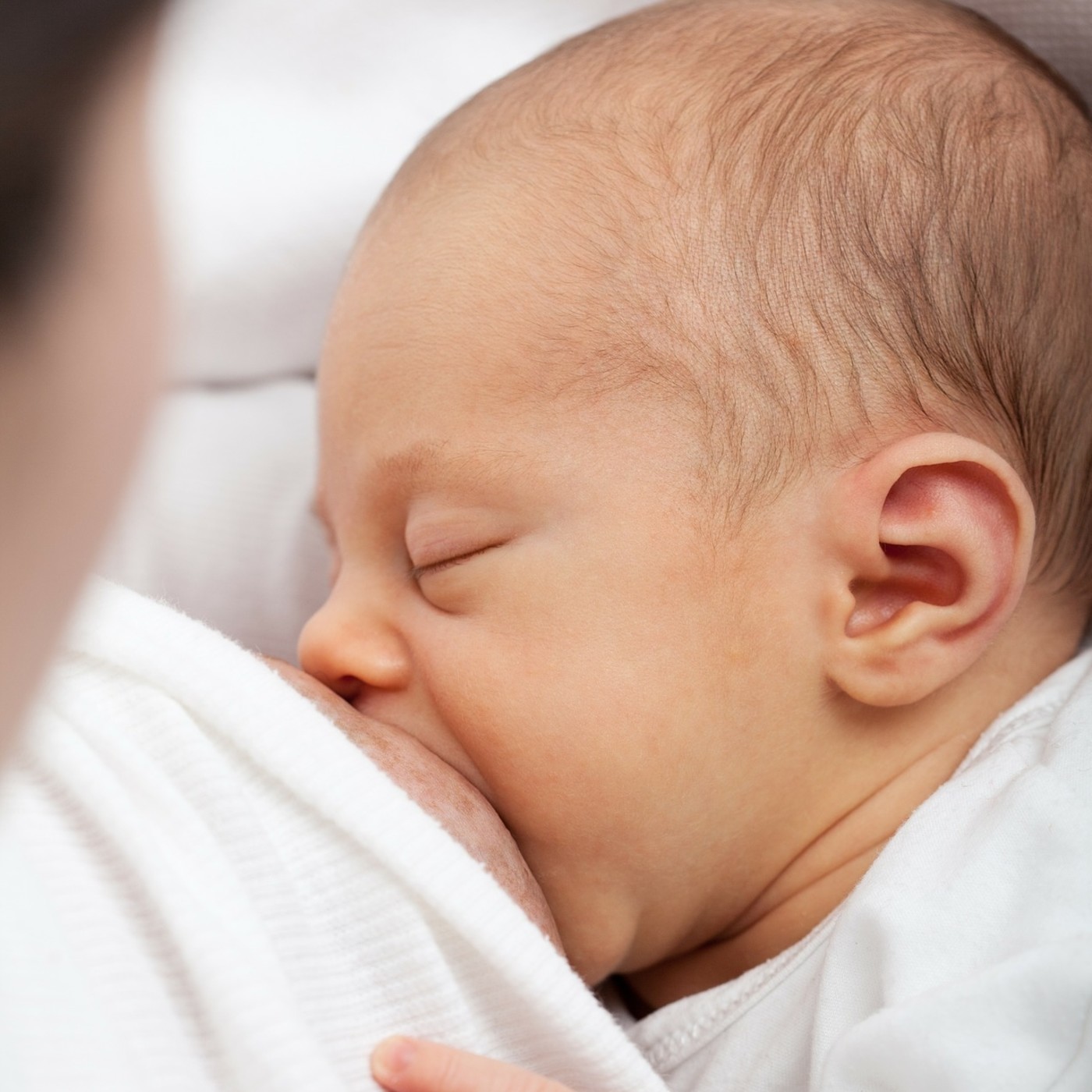 Maternidad y crianza vivencial