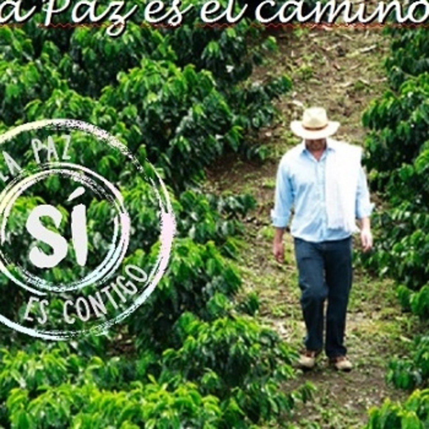 Una paz con aroma de cafetal episode artwork