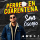 Perreo en cuarentena
