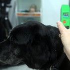 02 Chip para perros