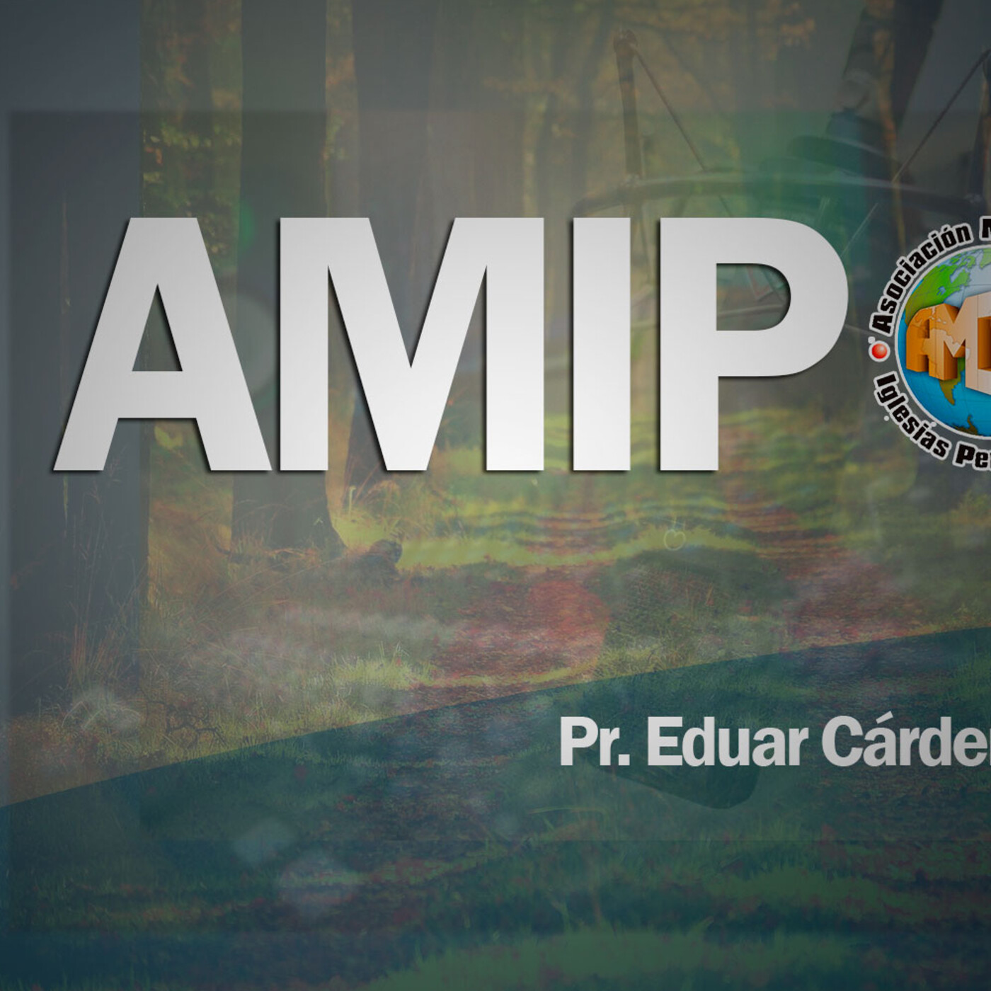 AMIP Institucional