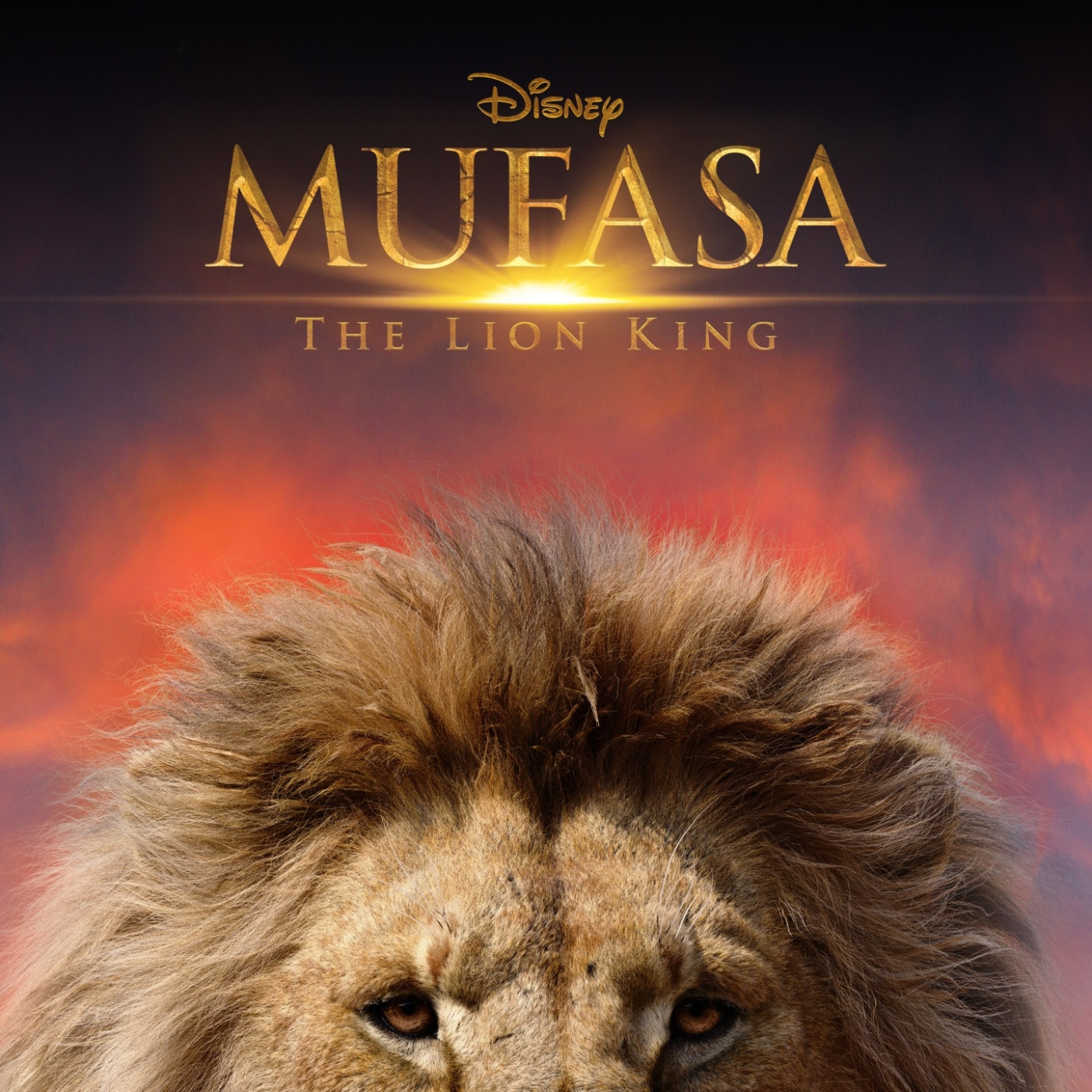 Estamos de cine