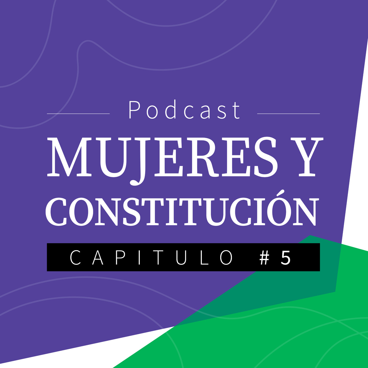 Arica Constituyente