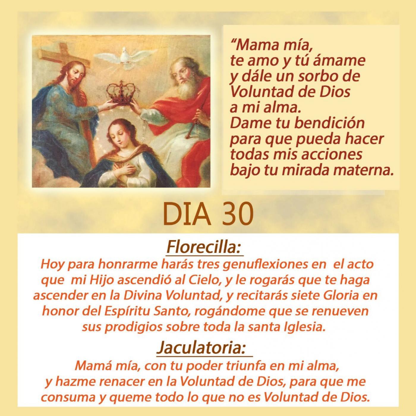 DIVINA VOLUNTAD CONSAGRACION A LA REINA DEL CIELO