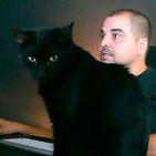 611 | Noticias marciales y un gato mú negro