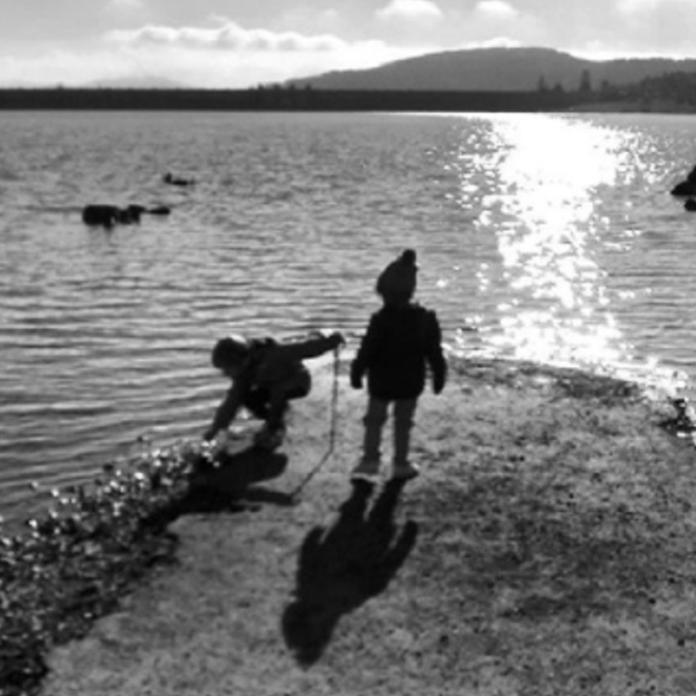 Conexión de Tejidos