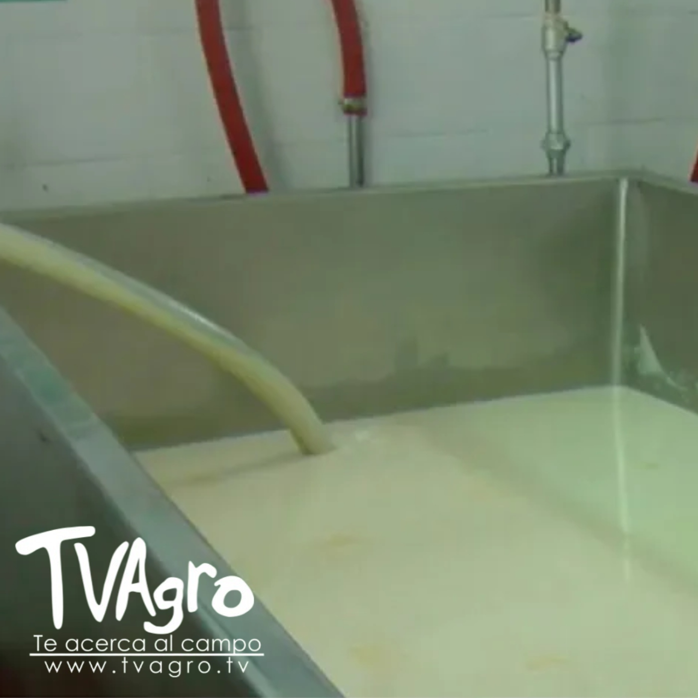 TV AGRO