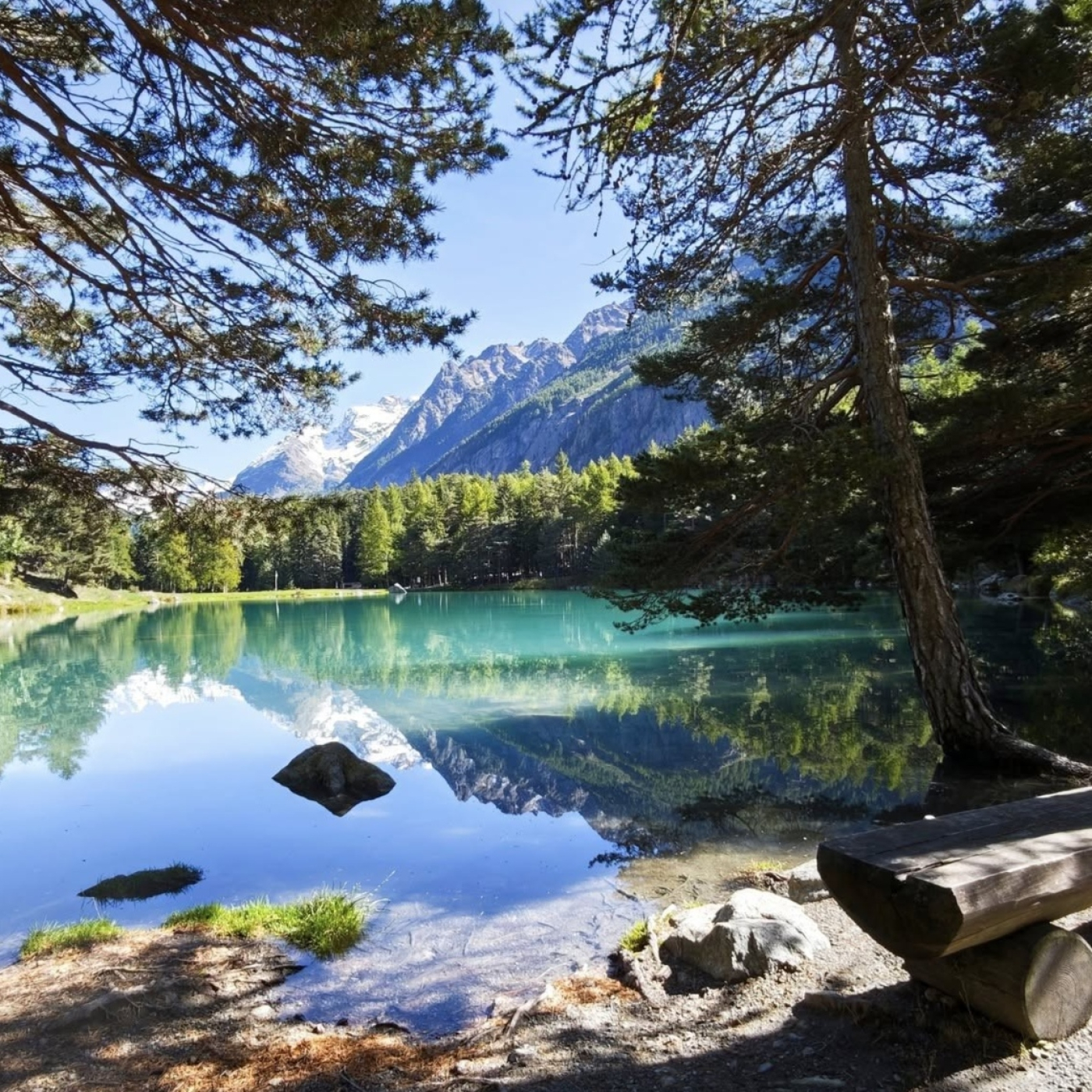 FRATERNIDAD ROSACRUZ DE MEXICO